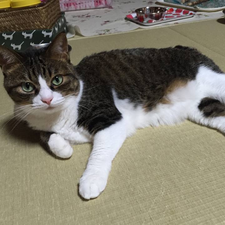 11a90697 22b3 4b63 abac e1d05f89bd58