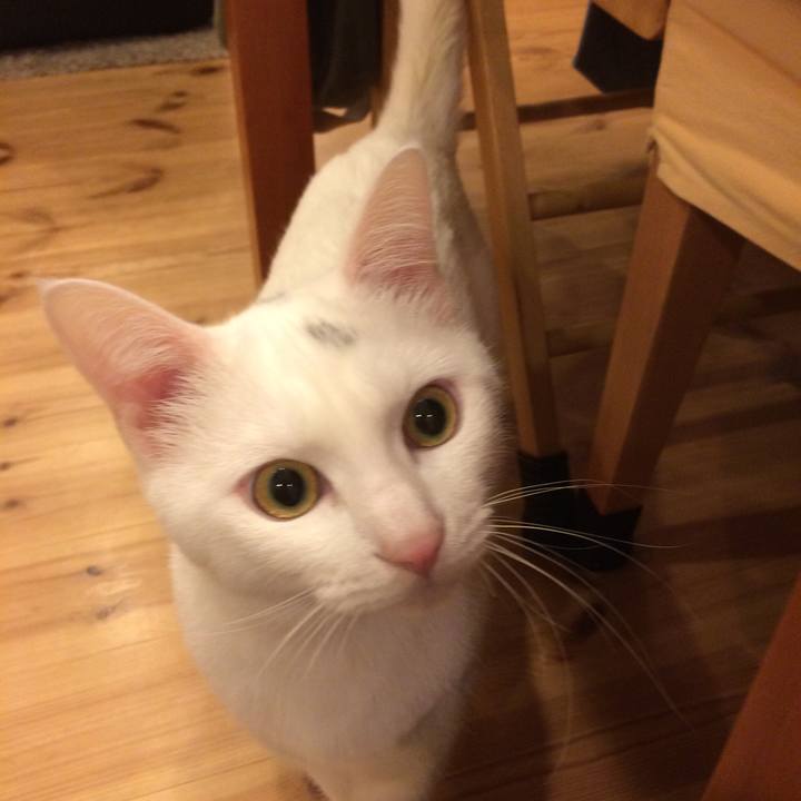 11a928ba d50b 432f 8450 0b595a09ee86