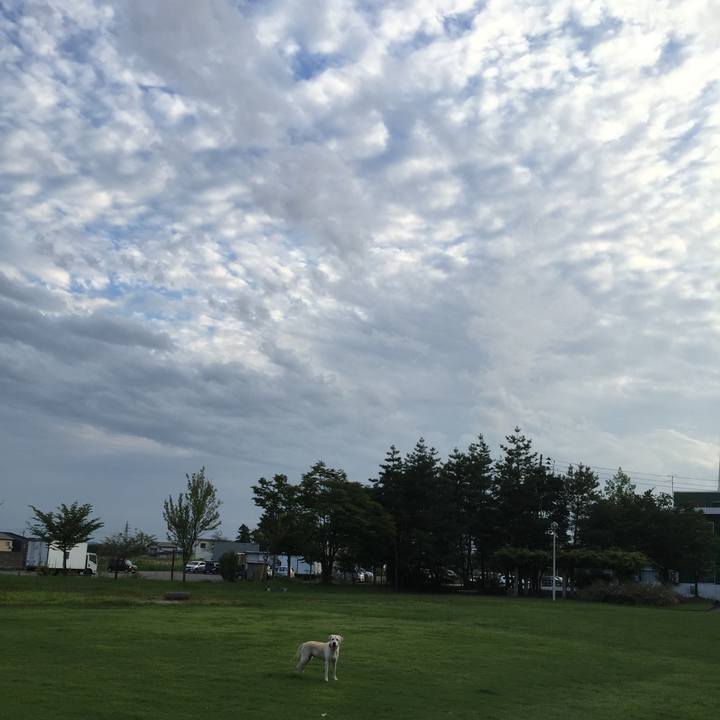 11a96614 20fa 425e 9e4b 0f7c4ca79d96