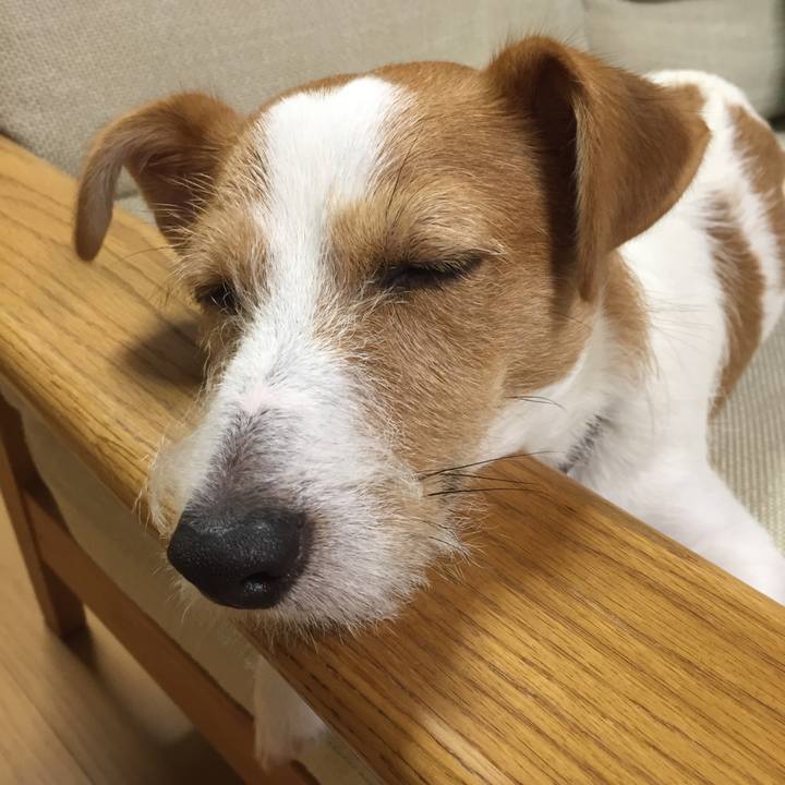 11aa69e8 76b6 4d83 8e79 9bcf4995437a