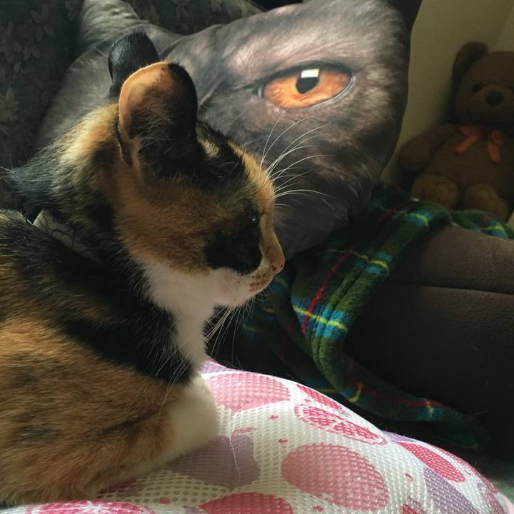 11ab57db 7e61 45e2 9fdc a0d077c22a9a