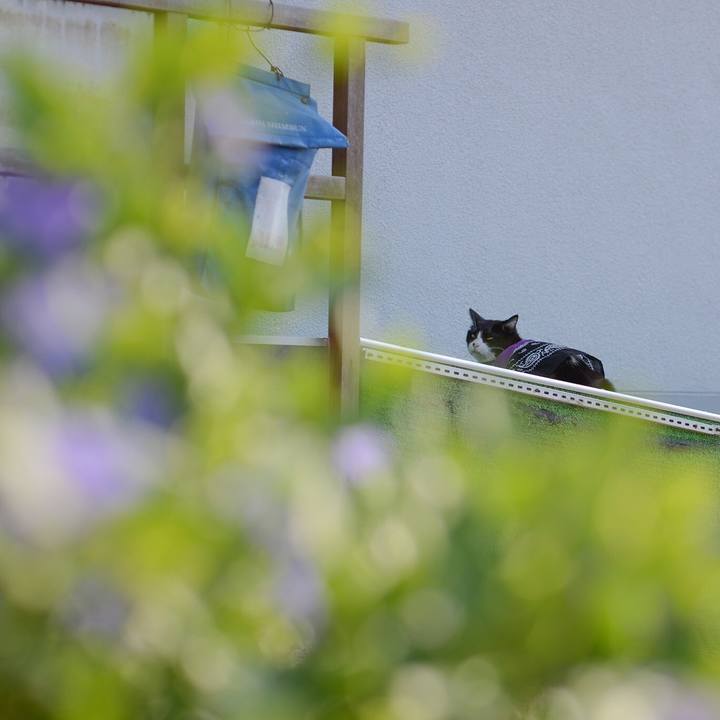 11ab6a20 3e70 4fac 95e8 25a717264762