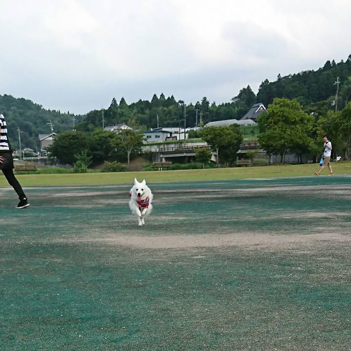 11ab7aea 7fd7 4440 a627 254ecaec5841