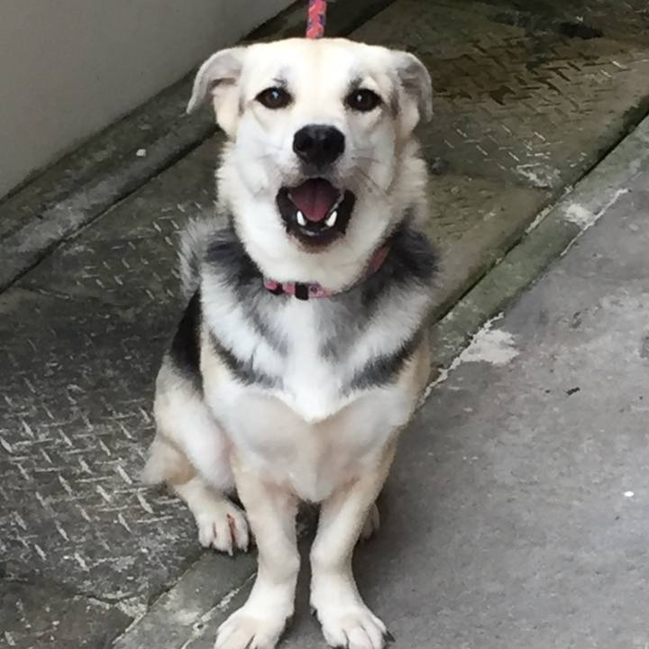 11aba19d b8e9 4ade 925a c17009a4fb24