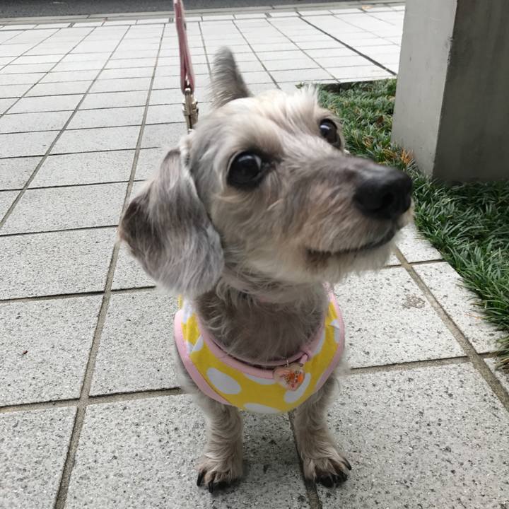 11abe794 b62c 4eb4 9699 1c1e95e86f62