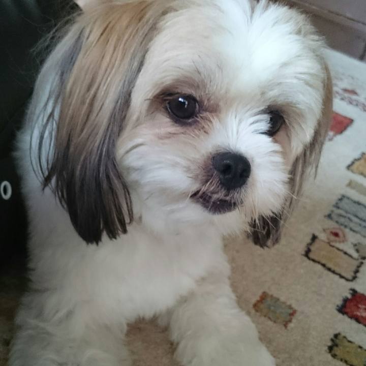 11ac9efd 7c93 4a80 9fcb cea3727678d7