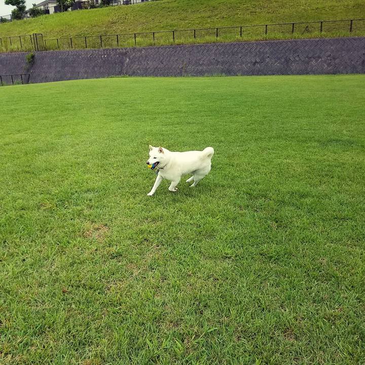 11aca529 6d63 4d09 94d8 93b90e00d72f