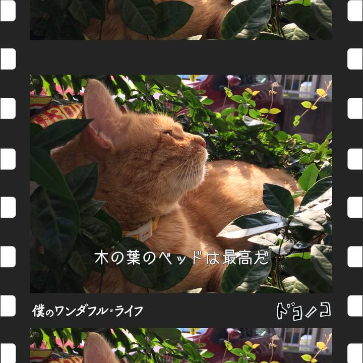 11ad3aad 3c59 49d9 b1fe de5d2a78e643