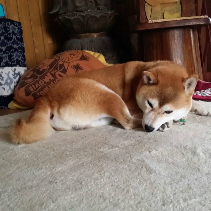 11ad40b0 4bda 4492 81b4 3363b84c4bb1