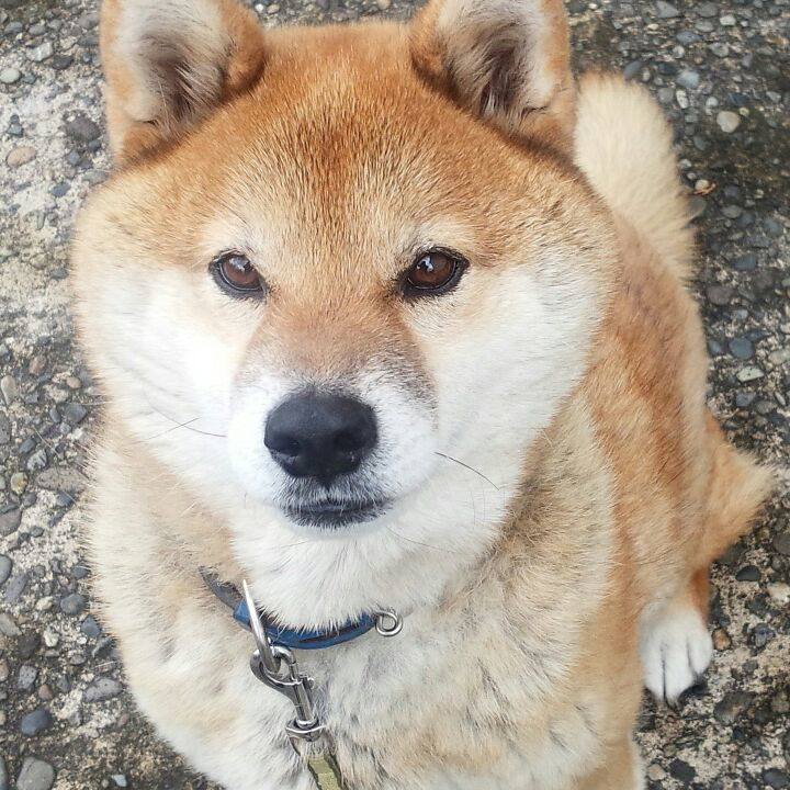 11ae808e bdcd 4ed8 b082 df5a4f4fc7d4