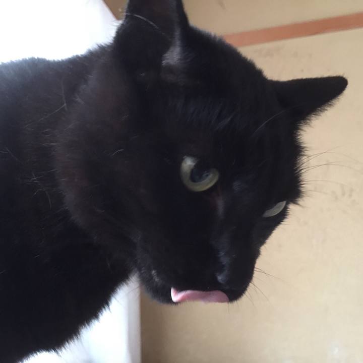 11aee680 6c96 4995 a7e7 4f1a34e3193b