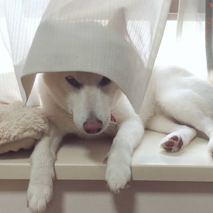 11af153e a2a9 495d b914 920559cc9165