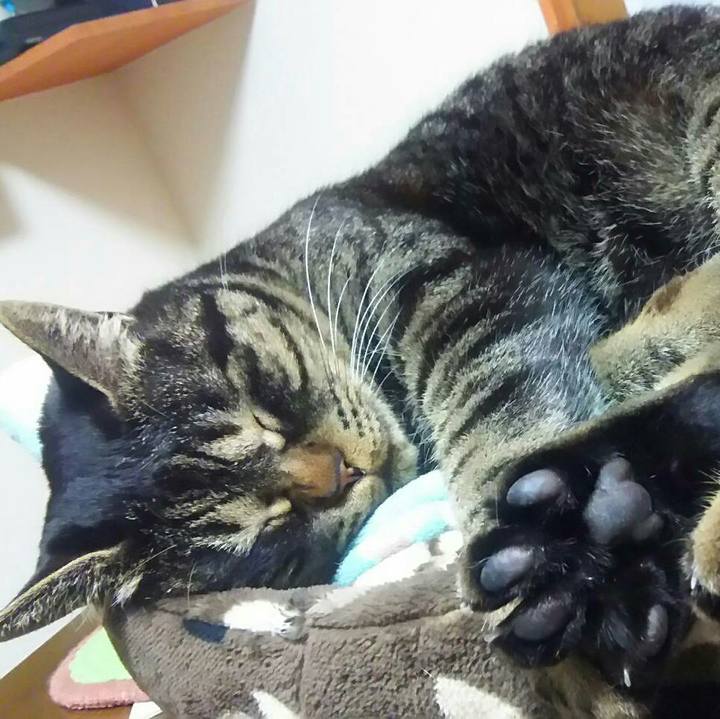 11af53fc 8684 4a1d 928b 1e90c2807e95