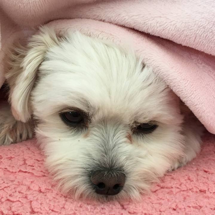 11b0e32d 9c0a 4482 8851 e60248d2fd8c