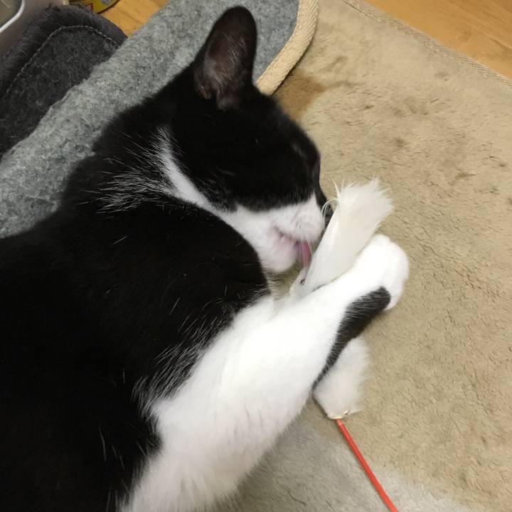 11b11e10 db8e 48c2 a7cb 69be2ac0ab8f