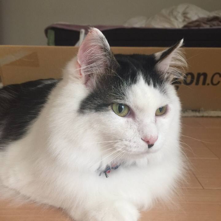 11b15b04 de48 498b 9e30 3f6b161df69d