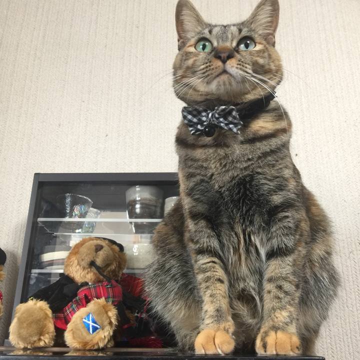 11b1a892 08ab 45a6 89e2 4fcad3601d1b