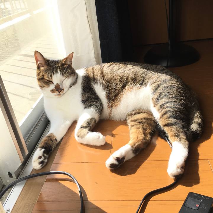 11b1cbd0 dcd0 410a acb2 053393464c66