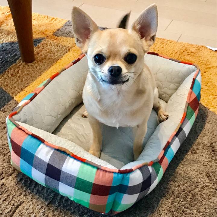 11b21c3c bdfc 4082 99e7 a383ec31c4d3