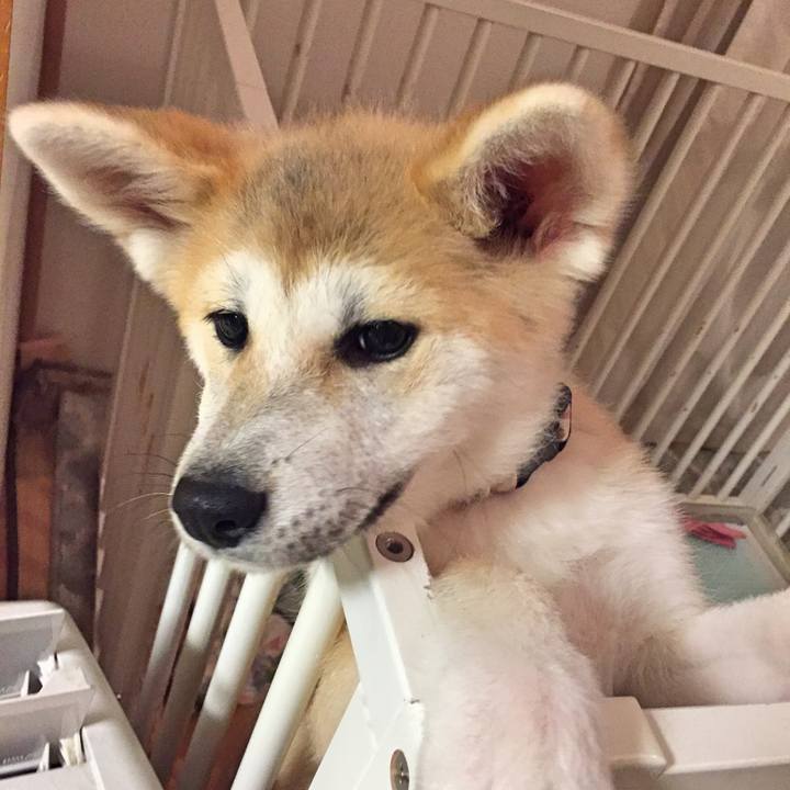 11b2571a c91d 40cb 8764 e56a44c083f3