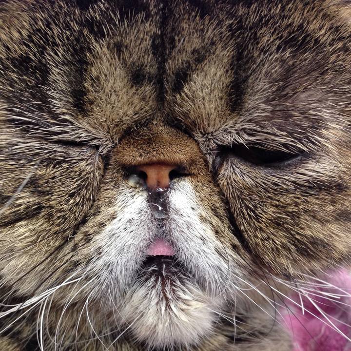 11b2eca5 961c 4816 a2f2 fb705fc4c3a0