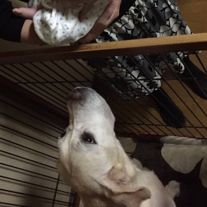 11b3230d 5be1 451b a8a1 bb9a9d86a0c6