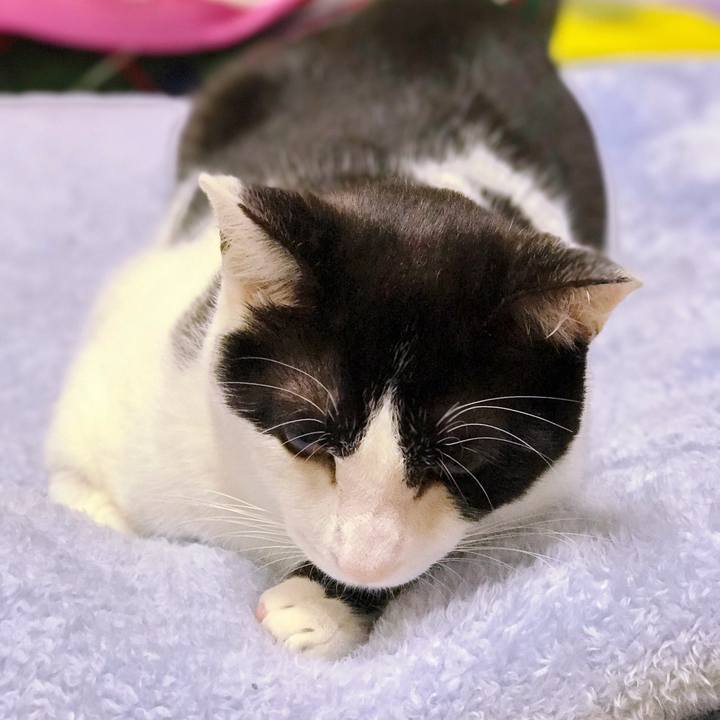 11b3816f 3d42 454e 8b9f 81f4d127874f