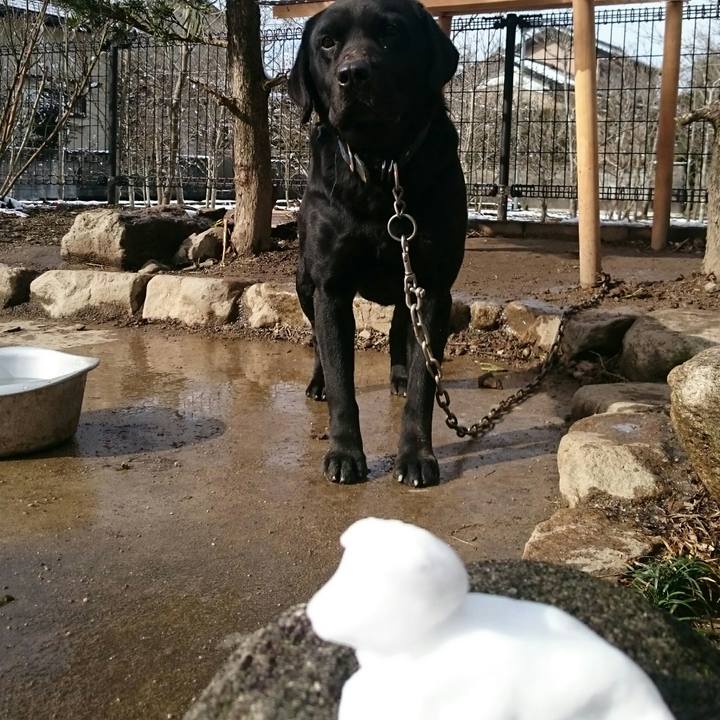 11b44def 2608 4efb a867 8f5db969c349