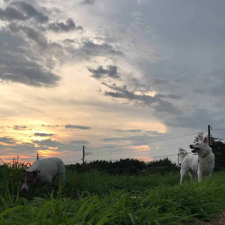 11b4784b 3677 4217 92b0 5617f7baf011