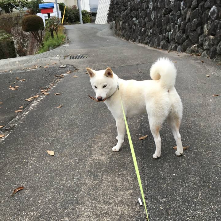 11b5414b 8010 460c bdf5 17b05dbc6c7e