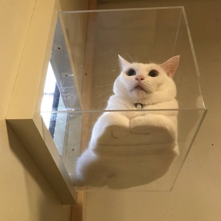 11b56c76 206b 476f 86be dc7b21d7f0e8