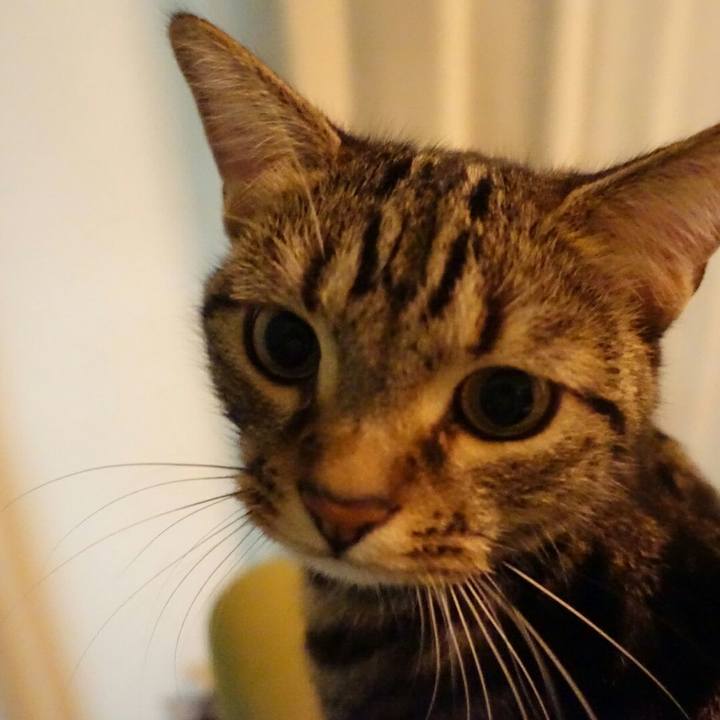 11b579da 0ea5 424f 9de5 3435017c2a0a