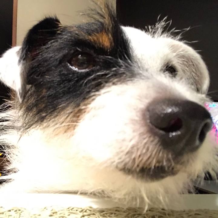 11b5f155 9f4b 4fc8 a91d 623f1869170f