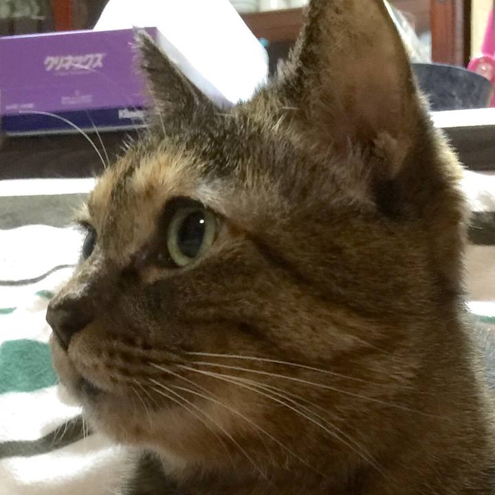 11b61c26 ff42 42ad 926c 7ae4103523d6