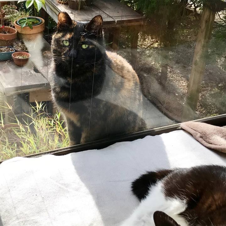 11b6bc17 4d1b 493b 9123 efe966b5a098