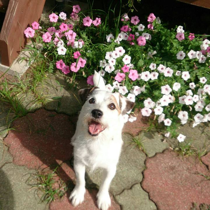 11b7bae8 cc1e 4e3d b199 2c7424d41954