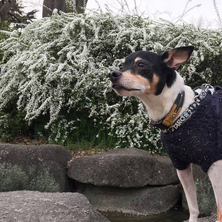 11b7d1a7 b794 4971 be23 34c1a6824224