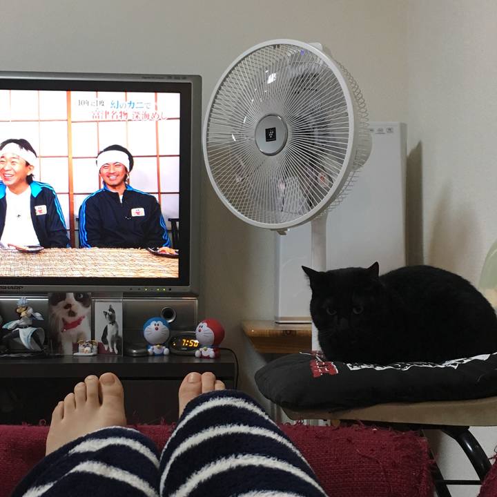 11b864e4 276c 40bc 9e16 1246bb488e34