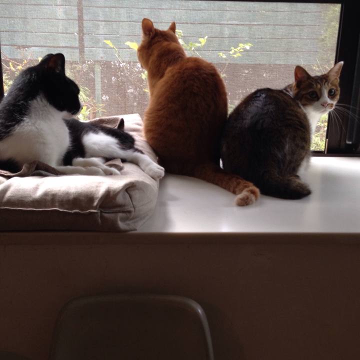 11b8a316 90f8 4a48 bf22 6356d4bdd86e