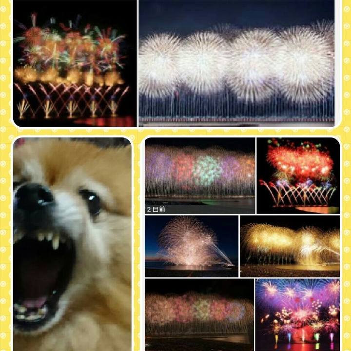 11b96487 dca1 4d1e a74d c75386f4bb5c