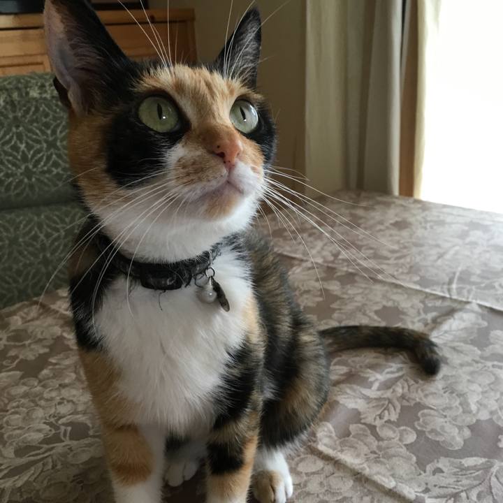 11b9bc27 eaec 4922 80f6 a75e3649cecc