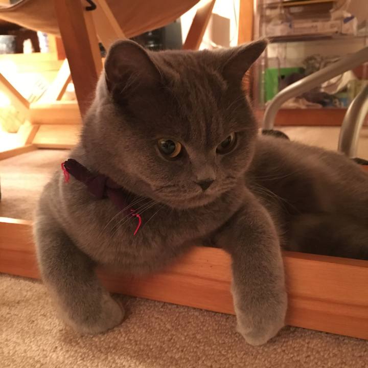 11bab97d 4b7c 4faf 9059 5d7f872328fb