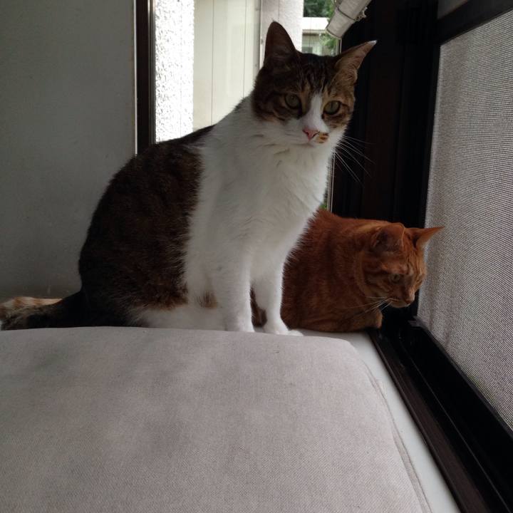 11bb5171 abc1 4785 a1aa 816e971a0379