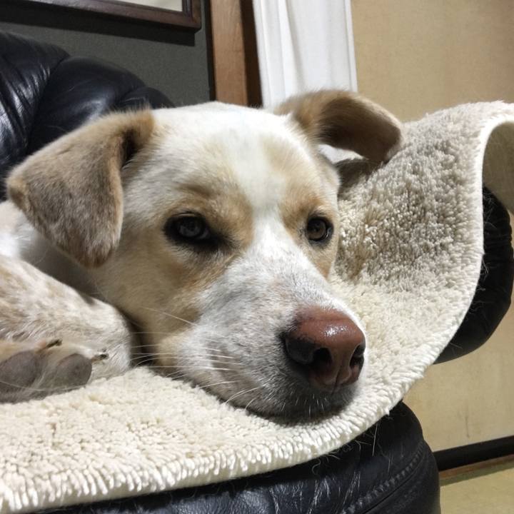 11bb9353 678d 4148 8e95 010effa156e8