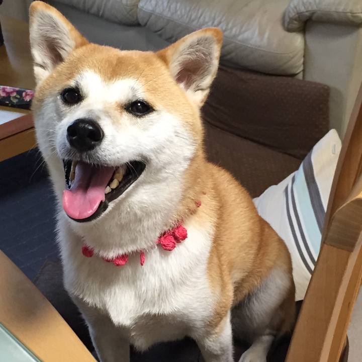 11bc08a4 b558 4b7e 9524 458f82d54f78