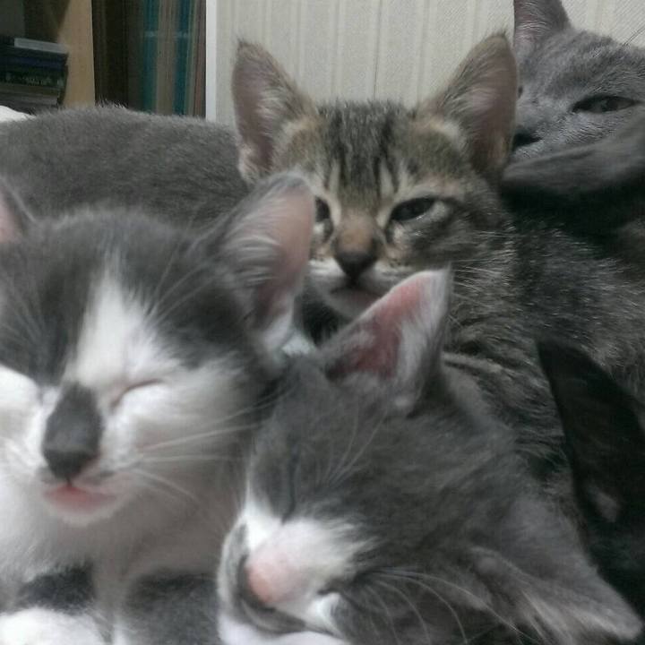 11bc8ca1 3832 44ea adcc 8f5996aff3e5