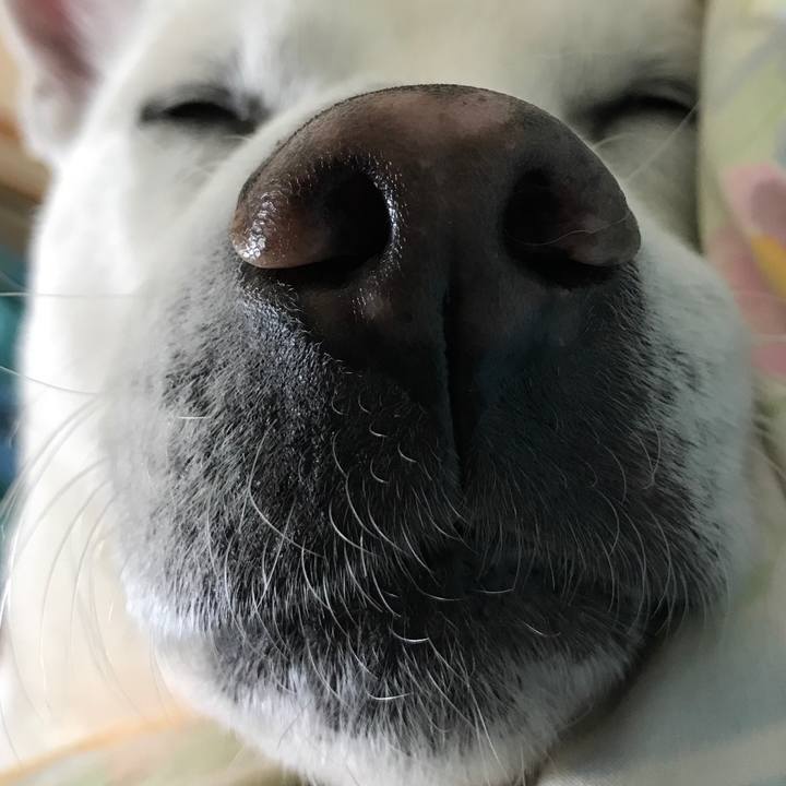 11bcc5a2 a142 41ad 86d5 7193f5771f49