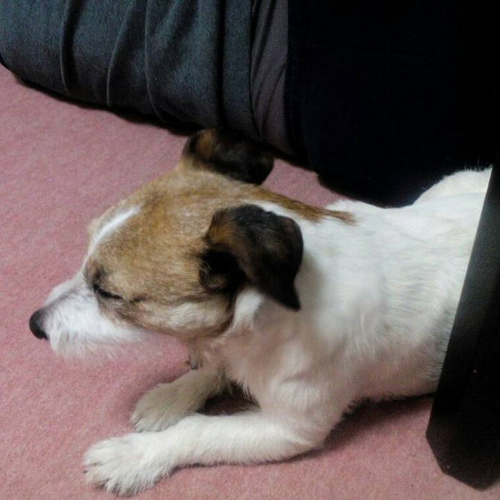 11bd30e5 e863 40d0 96b5 ce1d05cbf44e