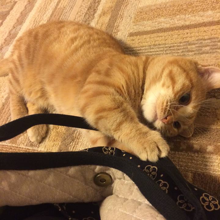 11bda5b5 f645 45d8 a215 f9f0bbe9ab6b