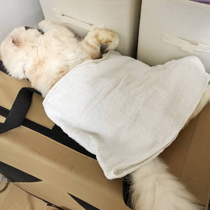 11bdda28 7740 402b bdc9 75a058ab79f3